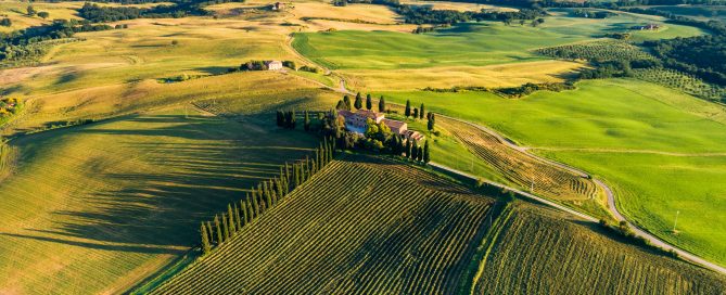 Morning-sunlight-drone-view-of-a-Tuscan-winery