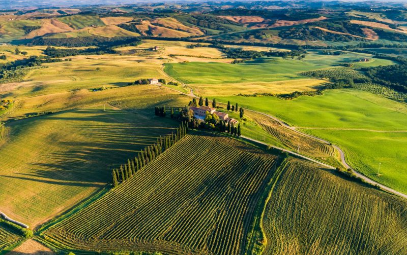 Morning-sunlight-drone-view-of-a-Tuscan-winery