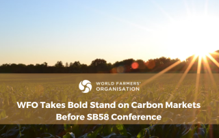 WFO Takes Bold Stand on Carbon Markets Before SB58 Conference