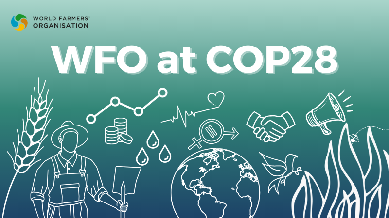 World Farmers to bring their strong voice to COP 28 in Dubai - WFO-OMA