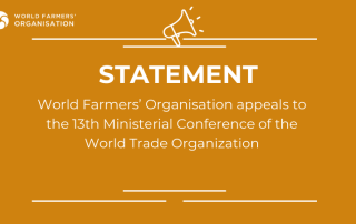 WFO STATEMENT AHED OF WTO MC13 2024