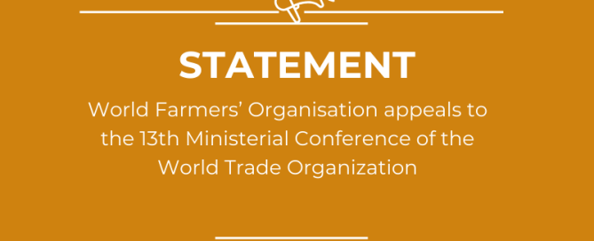 WFO STATEMENT AHED OF WTO MC13 2024