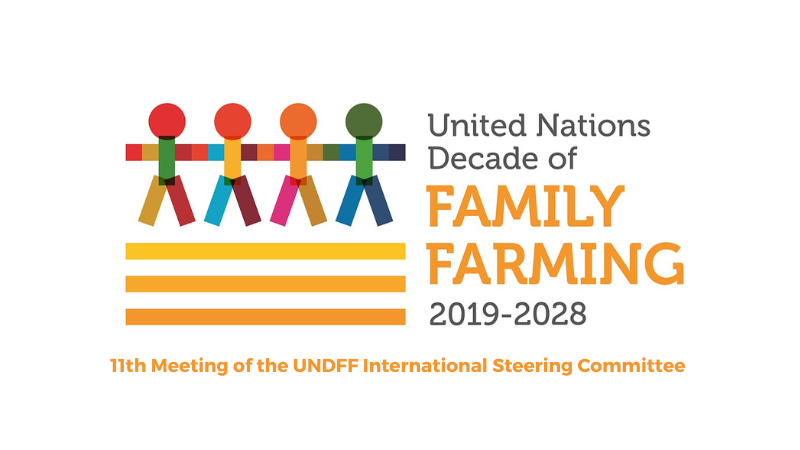 WFO at the 11th Meeting of the UNDFF International Steering Committee